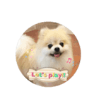 プリチーおっこたんスタンプ（個別スタンプ：5）