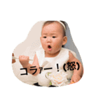 こっちゃんの日常スタンプ（個別スタンプ：14）