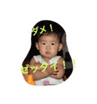 こっちゃんの日常スタンプ（個別スタンプ：16）