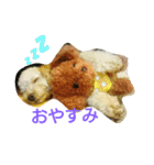 愛犬きなこのスタンプ（個別スタンプ：6）