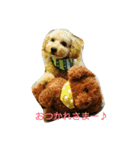 愛犬きなこのスタンプ（個別スタンプ：14）