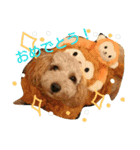 愛犬きなこのスタンプ（個別スタンプ：16）
