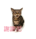 whowho is a girl（個別スタンプ：5）