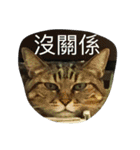 whowho is a girl（個別スタンプ：10）