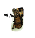 whowho is a girl（個別スタンプ：15）