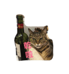 whowho is a girl（個別スタンプ：21）