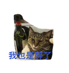whowho is a girl（個別スタンプ：22）