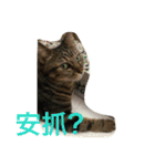 whowho is a girl（個別スタンプ：25）
