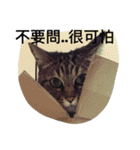 whowho is a girl（個別スタンプ：32）