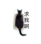whowho is a girl（個別スタンプ：33）
