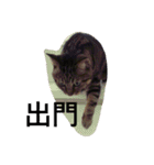 whowho is a girl（個別スタンプ：34）