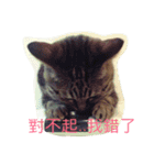 whowho is a girl（個別スタンプ：39）