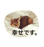 ルドさんのスタンプ（個別スタンプ：9）