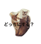 ルドさんのスタンプ（個別スタンプ：15）