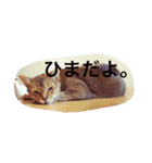 ルドさんのスタンプ（個別スタンプ：21）
