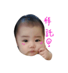 baby＆Husky（個別スタンプ：12）