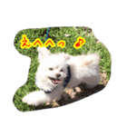 コッパーすたんぷ 2（個別スタンプ：2）