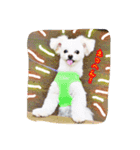 コッパーすたんぷ 2（個別スタンプ：5）