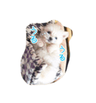 コッパーすたんぷ 2（個別スタンプ：6）