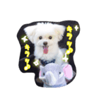 コッパーすたんぷ 2（個別スタンプ：7）