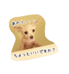 コッパーすたんぷ 2（個別スタンプ：8）