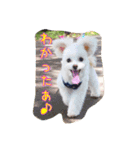 コッパーすたんぷ 2（個別スタンプ：10）