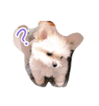 コッパーすたんぷ 2（個別スタンプ：14）