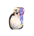 コッパーすたんぷ 2（個別スタンプ：16）