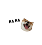 i'm my dog（個別スタンプ：4）