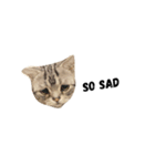 i'm my dog（個別スタンプ：7）