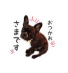 まめあず♡（個別スタンプ：8）