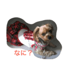 ナナちゃん。（個別スタンプ：1）