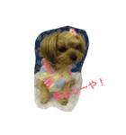 ナナちゃん。（個別スタンプ：3）