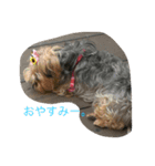 ナナちゃん。（個別スタンプ：5）