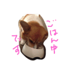 Angeの大切な仲間達（個別スタンプ：2）