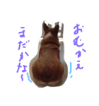 Angeの大切な仲間達（個別スタンプ：3）