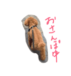 Angeの大切な仲間達（個別スタンプ：5）
