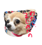 Angeの大切な仲間達（個別スタンプ：14）