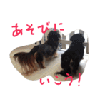 Angeの大切な仲間達（個別スタンプ：18）