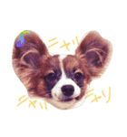 ポッケの日常（個別スタンプ：5）