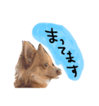 チョコちゃんとメロディのひとことstamp（個別スタンプ：4）