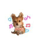 チョコちゃんとメロディのひとことstamp（個別スタンプ：9）