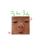 そうだいくん（個別スタンプ：1）