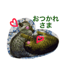 はぎにゃんこ（個別スタンプ：4）