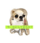 まったり大家族（個別スタンプ：1）