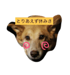 まったり大家族（個別スタンプ：7）