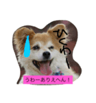 まったり大家族（個別スタンプ：9）