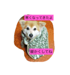 まったり大家族（個別スタンプ：15）