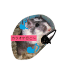 まったり大家族（個別スタンプ：16）