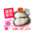 TRM にゃんず(猫・ネコ)（個別スタンプ：28）